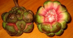 接触性皮炎,怎样远离它?