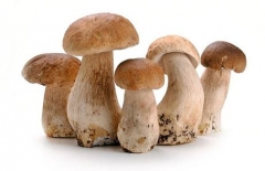 胆碱性荨麻疹忌口