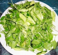急性荨麻疹怎么治疗