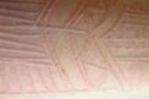 ݡγɵԭȫ֪ 