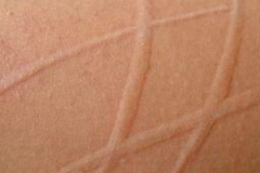 ݡ֢״ʽ֪