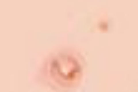ˮγɵ²ԭ򵱿ѧ֪Ϥ 