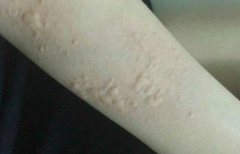 ݡʳϵעҪ